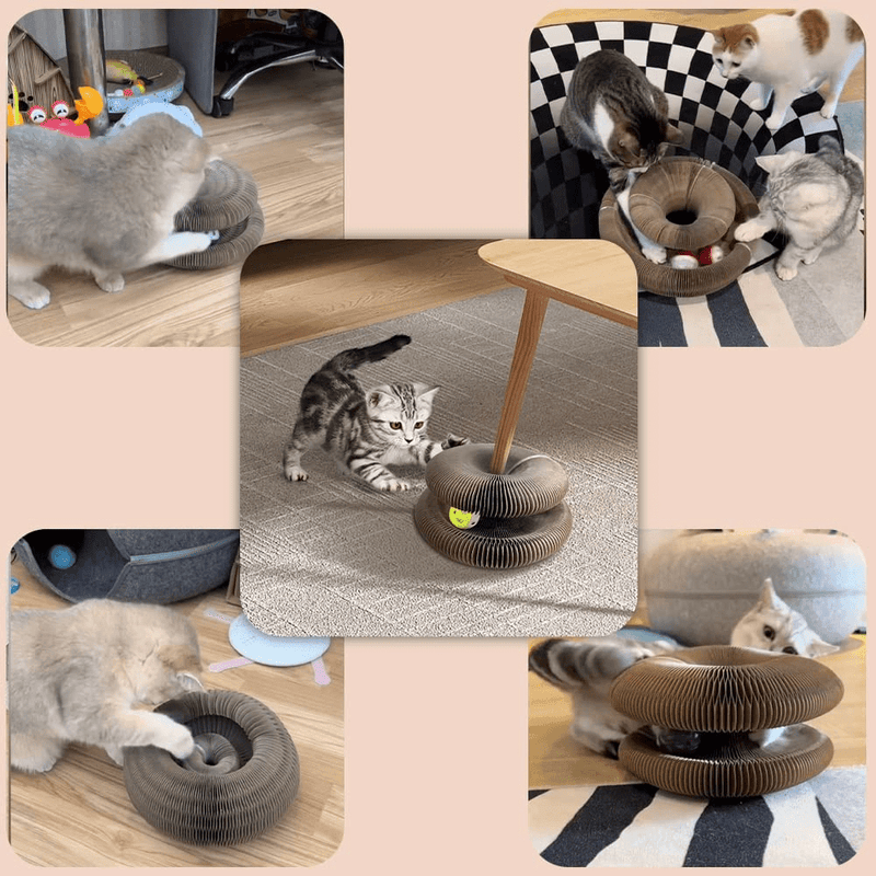 Brinquedo Interativo Para Gatos