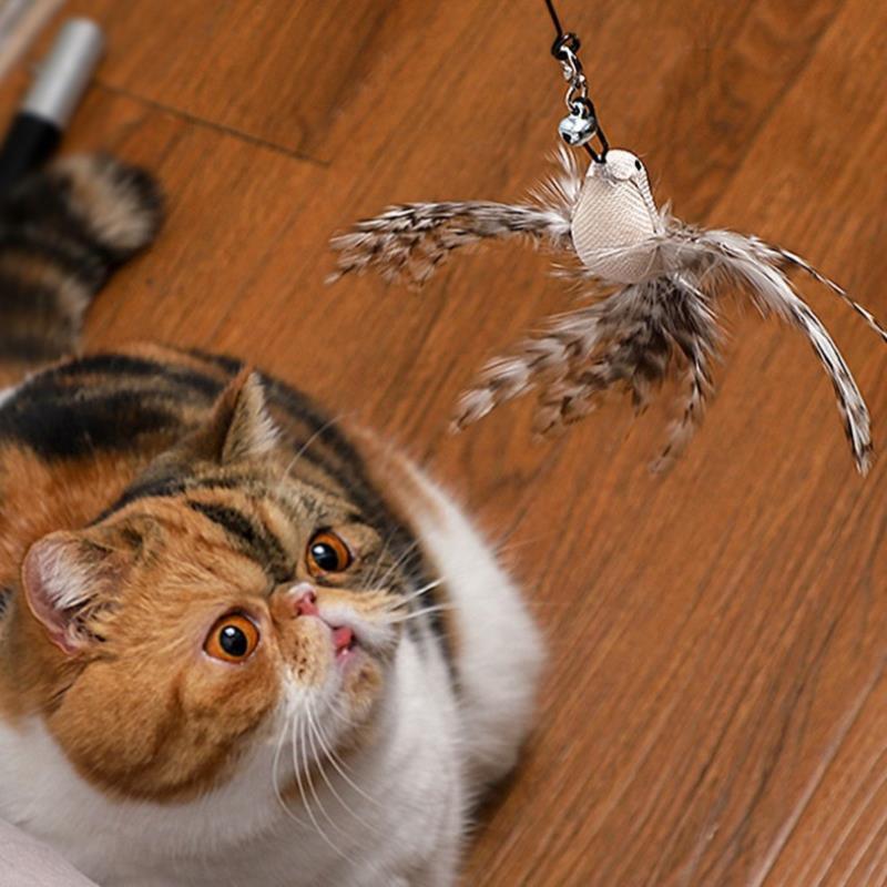 Brinquedo Interativo para Gatos - Bird fly